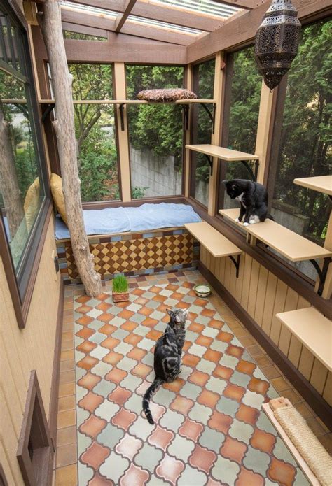 Catios Keep Cats And Birds Safe Real Gardens Grow Natives Cat Patio
