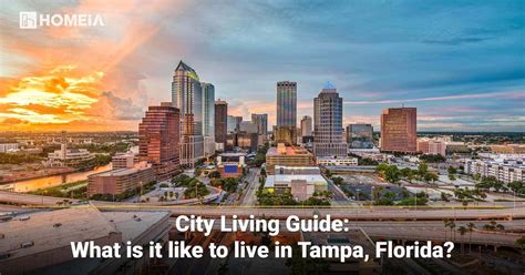 12 Key Factors To Know About Living In Tampa Fl Homeia