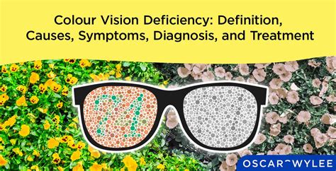 Colour Vision Deficiency Definition Causes Symptoms Diagnosis And