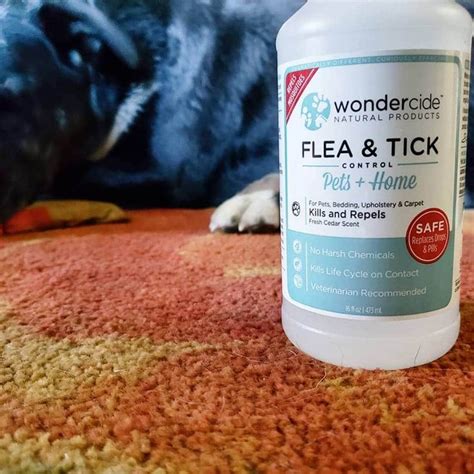 Is Wondercide Still Safe For Dogs Flea And Tick Wags Shampoo Bottle