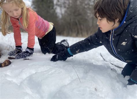 10 Best Snow Games To Play With Kids Adventure Families