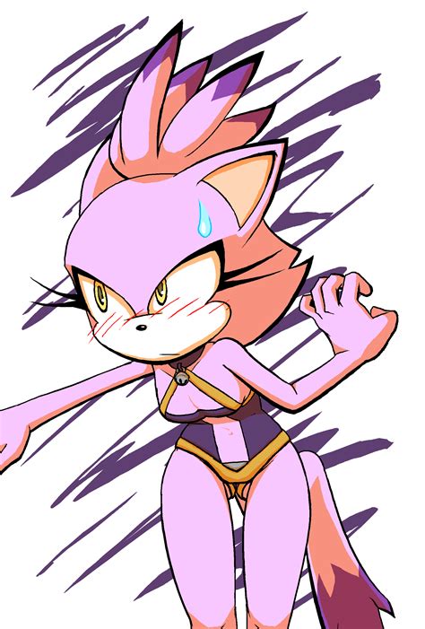 Blaze Summer Swimsuit Sonic The Hedgehog Know Your Meme