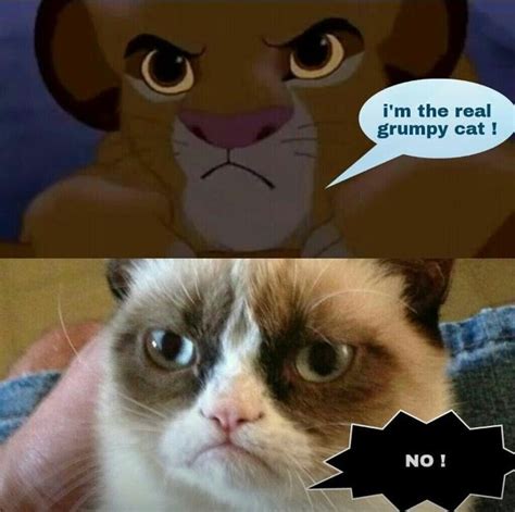 Grumpy Cat Disney Princesses Qoutes Grumpy Cat