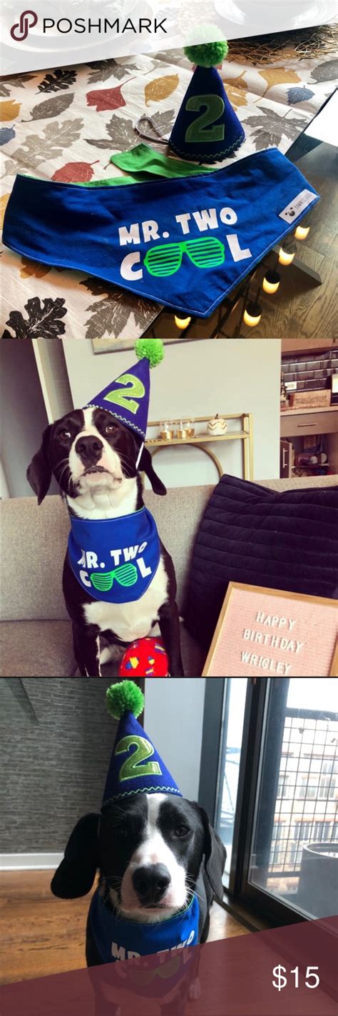 Dog birthday bandana and bow tie in birthday boy ideal for a puppy, dog and cat with free uk shipping. Dog 2nd Birthday Hat and Bandana | Birthday hat, Cool ...