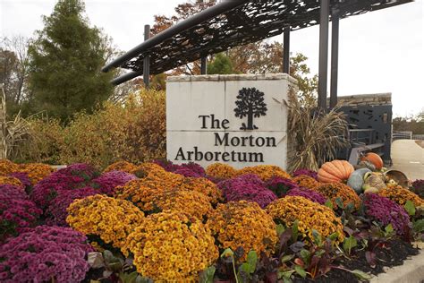 Morton Arboretum - Ivy League Kids