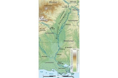 Topography Of The Coastal Plain — Earthhome