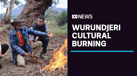 After 160 Years Aboriginal Cultural Burning Returns To Coranderrk