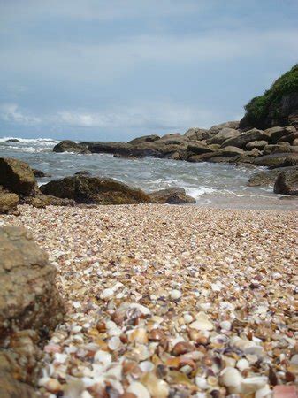 Regular contributors may earn money from their contributions. Praia das Conchas (Itanhaém) - ATUALIZADO 2021 O que saber antes de ir - Sobre o que as pessoas ...