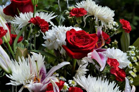 Designed to be left at the graveside, crematorium, wreaths, flowers. Flowers for Grief: 9 of the Best Sympathy Flowers and ...