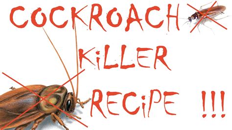 How To Get Rid Of Cockroaches By Home Remedies Updated 2023