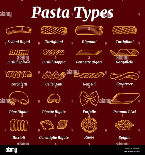 Traditional Italian Pasta List With Names Vector Set Types Of Italian