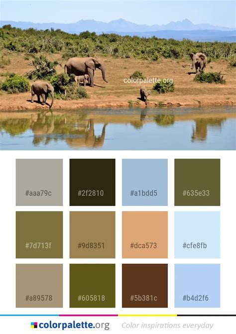 Wildlife Elephants And Mammoths Elephant Color Palette