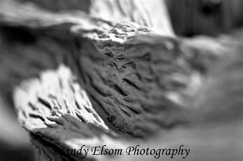 Black And White Abstract Macro Photography Art Print Wood Etsy