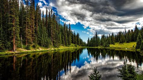 Forest Lake Wallpapers Top Free Forest Lake Backgrounds Wallpaperaccess