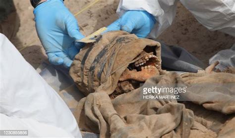 Forensic Anthropologists Photos And Premium High Res Pictures Getty