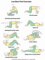 Photos of Lower Back Pain Exercises