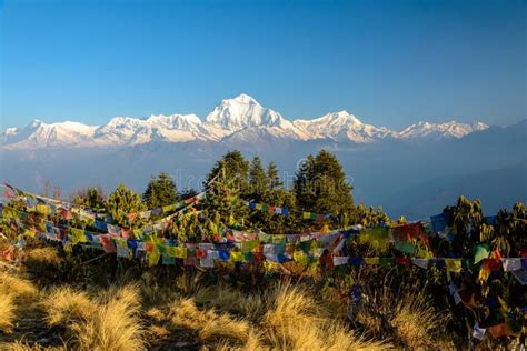 Annapurna Panorama Stock Image Image Of Glow Dawn Asia 70100169
