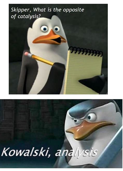 skipper what s the opposite of catalysis kowalski analysis know your meme