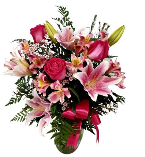 Stargazer Romance V Fiesta Flowers Plants Gifts
