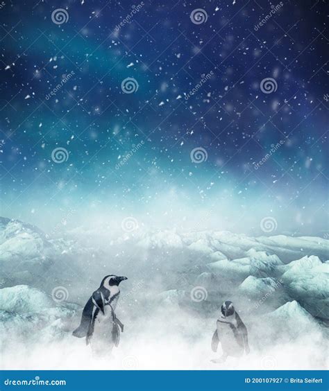 Winter Night Scene With Penguins Watching Snow Falling Down Christmas