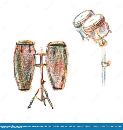 Drums Different Percussion Instruments Musicians Play Conga Bongos