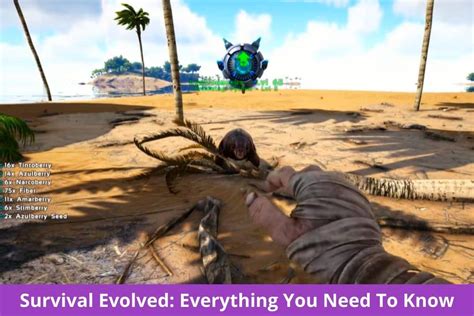Survival Evolved Everything You Need To Know