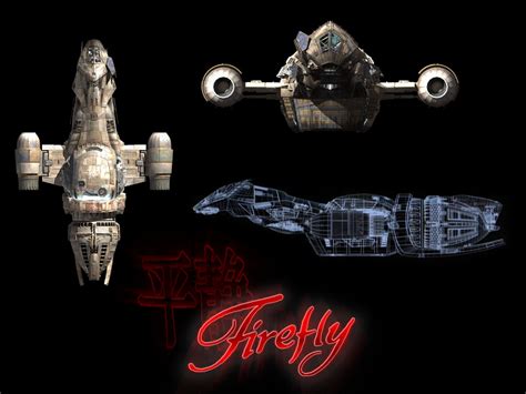 Firefly Picture Image Abyss