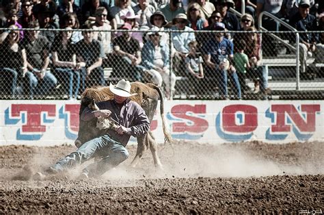 Tucson Rodeo Steer Wrestling Photograph By Joseph Oland Fine Art America