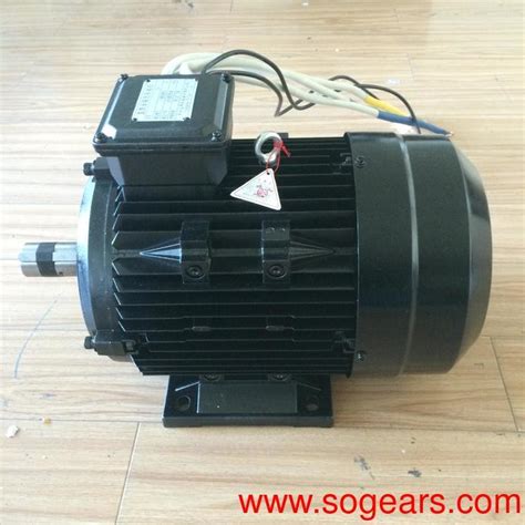 Brushless Permanent Magnet Motor