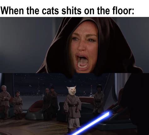 Angry Woman Cat Meme Yoda