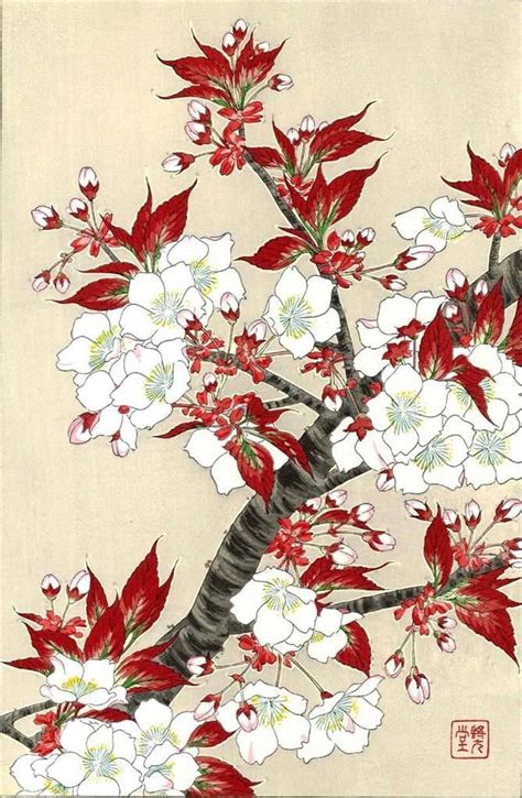 Kawarazaki Shodo Sakura Cherry Blossoms Japanese Woodblock Print Ebay