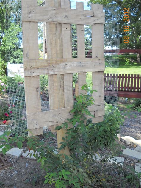 Pallet Garden Trellis By Junkarta Shelley Novotny