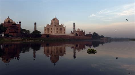 Taj Mahal Under Attack By Bugs And Their Green Slime The New York Times