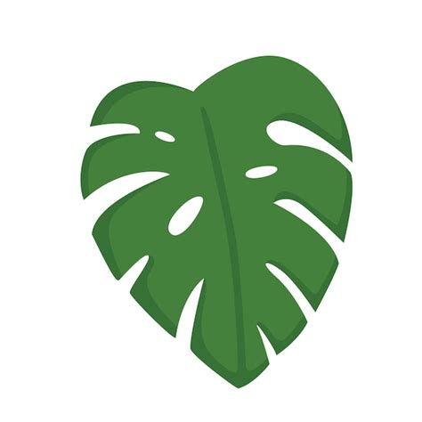 Monstera Leaf Clipart SVG Leaves SVG ETC Craft Marketplace Clip