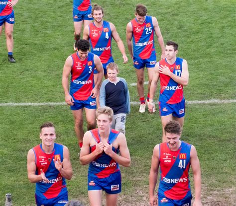 Wafl is an international qsr company raised from the genuine idea: WAFL (@WAFLOfficial) | Twitter