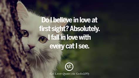 Quotes About Cats Love