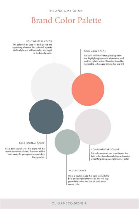 Creating The Perfect Brand Color Palette Quillandcodesign