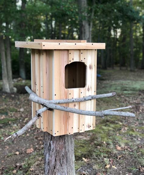 Barred Owl Nest Box Custom Options Available Etsy