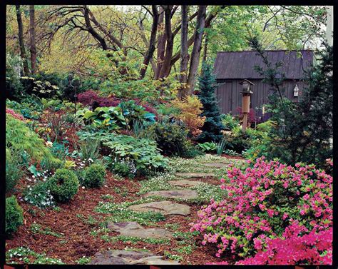 Cottage Gardening For Everyone Southern Living