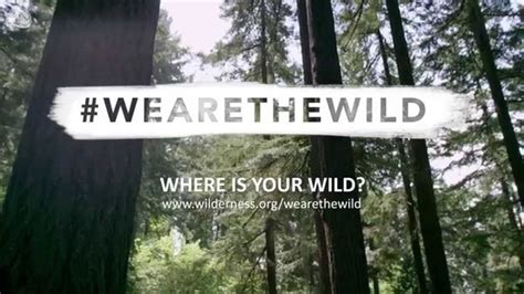 Author Cheryl Strayed On The Power Of Wilderness We Are The Wild Cheryl Strayed Wild