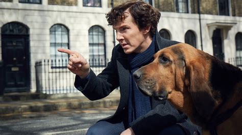 Sherlock Season 4 Gone To The Dogs Youtube