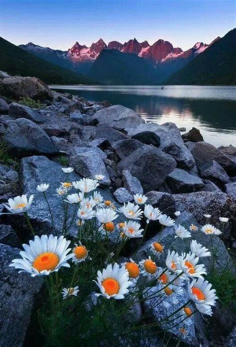Pinterest Noxioussparks Amazing Nature Simply Beautiful Lovely