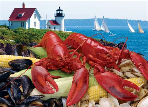 The Lobster Boom In Maine Is Slowing Down Says State Report