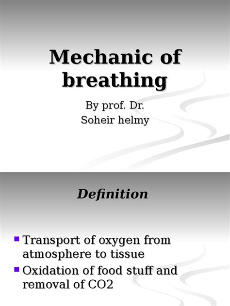 Mechanic Of Breathing 2 Pdf Respiratory System Exhalation