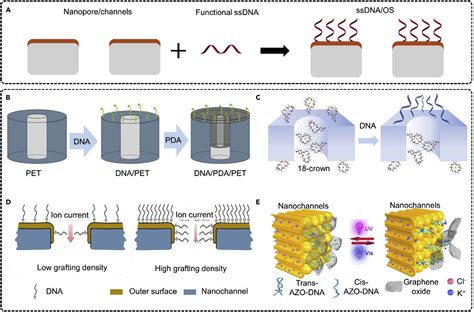 Solid State Nanoporechannels Meet Dna Nanotechnology Matter