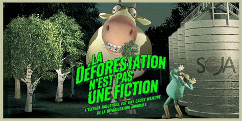 La Déforestation Nest Pas Une Fiction Oneplanete