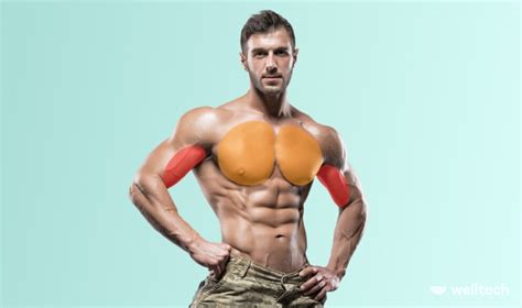 the ultimate chest and bicep workout to feel the pump welltech