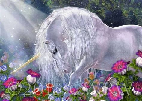Unicorn Fantasy Myth Mythical Mystical Legend Licorne Unicorn Art