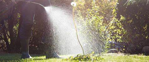 Full Service Lawn Care Program In Mansfield Wooster Strongsville Oh Free Spray Lawn Care