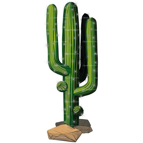 Download High Quality Cactus Clip Art Clear Background Transparent Png